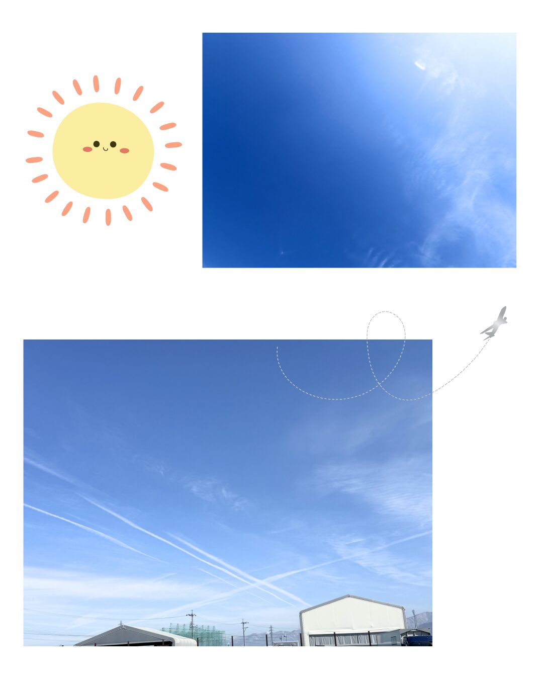 働く男たち！！